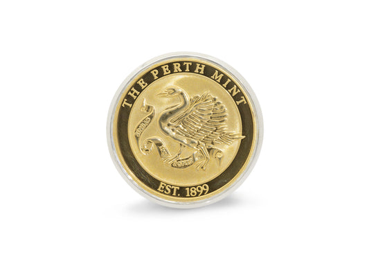Golden Coin Signet Ring, Sterling Silver